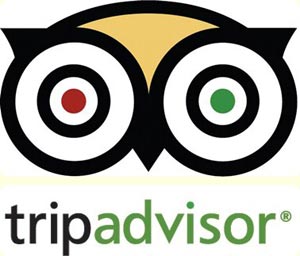 Enjoying Your Trip Despite Fake TRIPADVISOR Reviews by Froodee