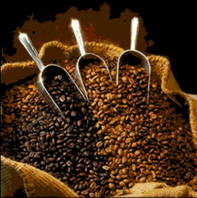 coffee_beans_india1
